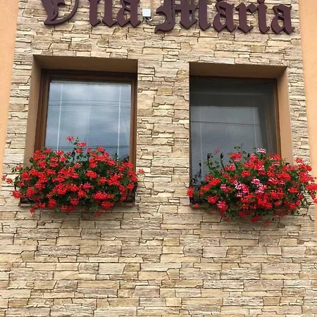 Mária 3*